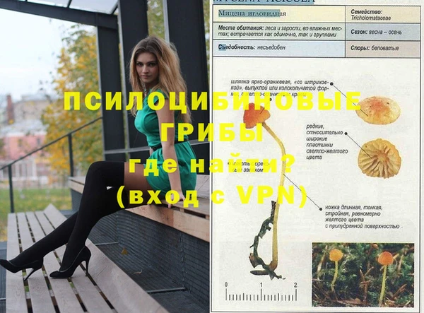 прущая мука Приозерск