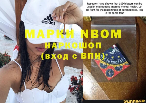 индика Ступино