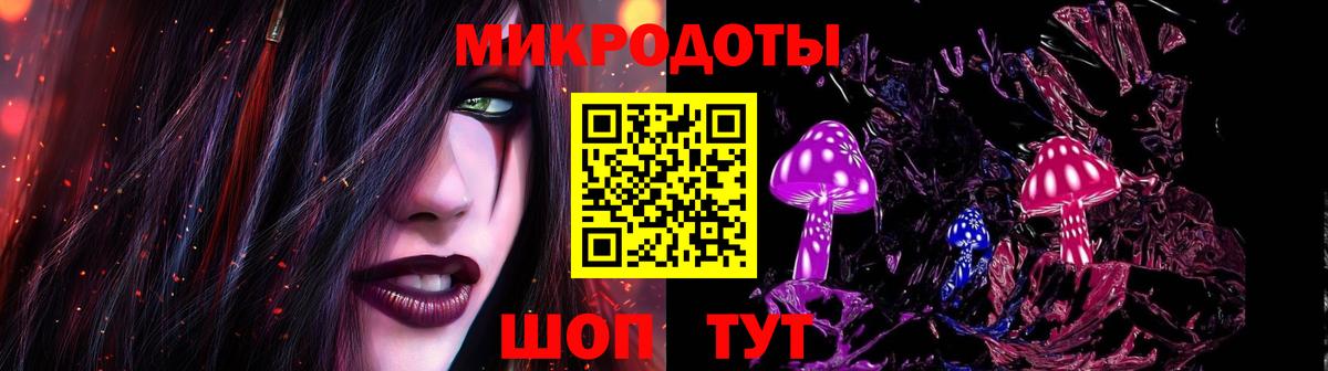 Псилоцибиновые грибы Psilocybe Балаково