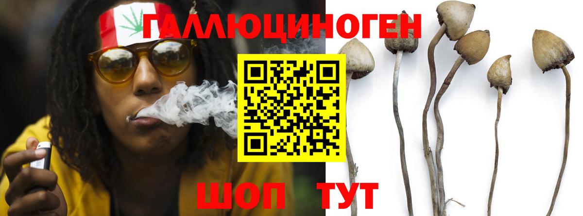 Псилоцибиновые грибы MAGIC MUSHROOMS  Вход с VPN  как найти закладки  Балаково 