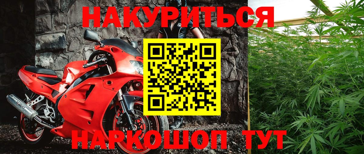 Бошки Шишки Балаково